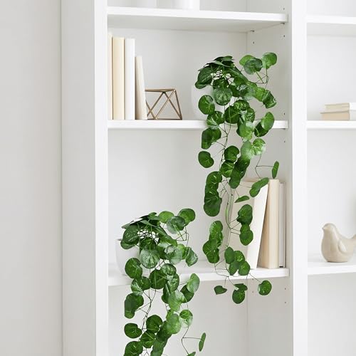 Image of Dekorly Artificial Hanging Garland with Pot - 100cm Rose Vine, 10cm Decorative Pot for Table, Shelf & Wall Decor (2, Vines-08)