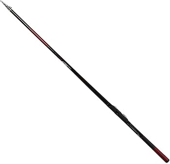 Amazon | ダイワ(DAIWA) チヌ・磯竿 銀狼・Y 06-53・Y 釣り竿 | ダイワ