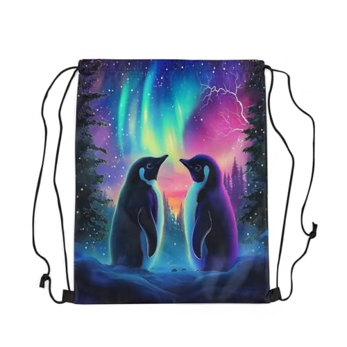 jejeloiu Penguin Drawstring Backpack 13x15.7inch Northern Light Gym String Bag Galaxy Northern Light Decor Sports Drawstring Sackpack2