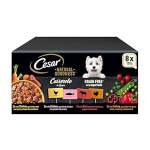 Cesar Natural Goodness Casserole Mixed Selection- Wet Dog Food – for Adult Dogs – in Gravy – 24 x 100 g