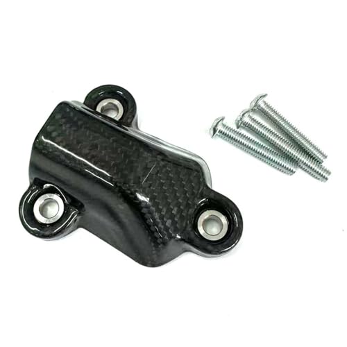 Couvercle stator carbone pour S1000RR protège votre moteur avec élégance