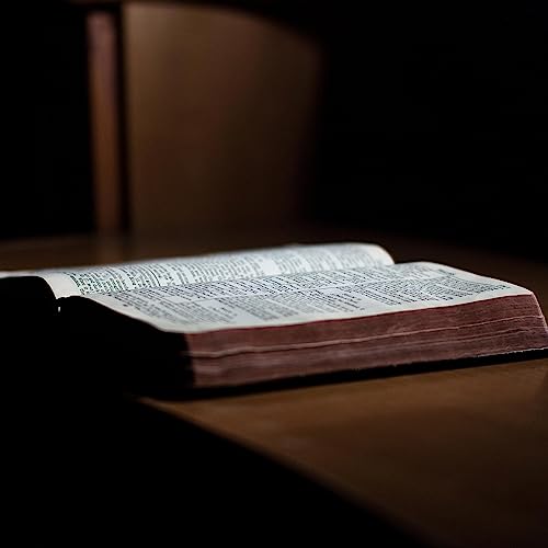 A B&iacute;blia Sagrada voz Viviane Austin