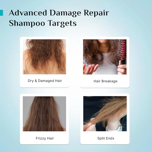 Image of Pilgrim Korean Rice Water & Collagen Advanced Damage Repair Shampoo - 400ml | with 17 Amino Acids, Wheat Protein & 5 Ceramides | Paraben-Free | For Dry & Damaged Hair | For Women and Men