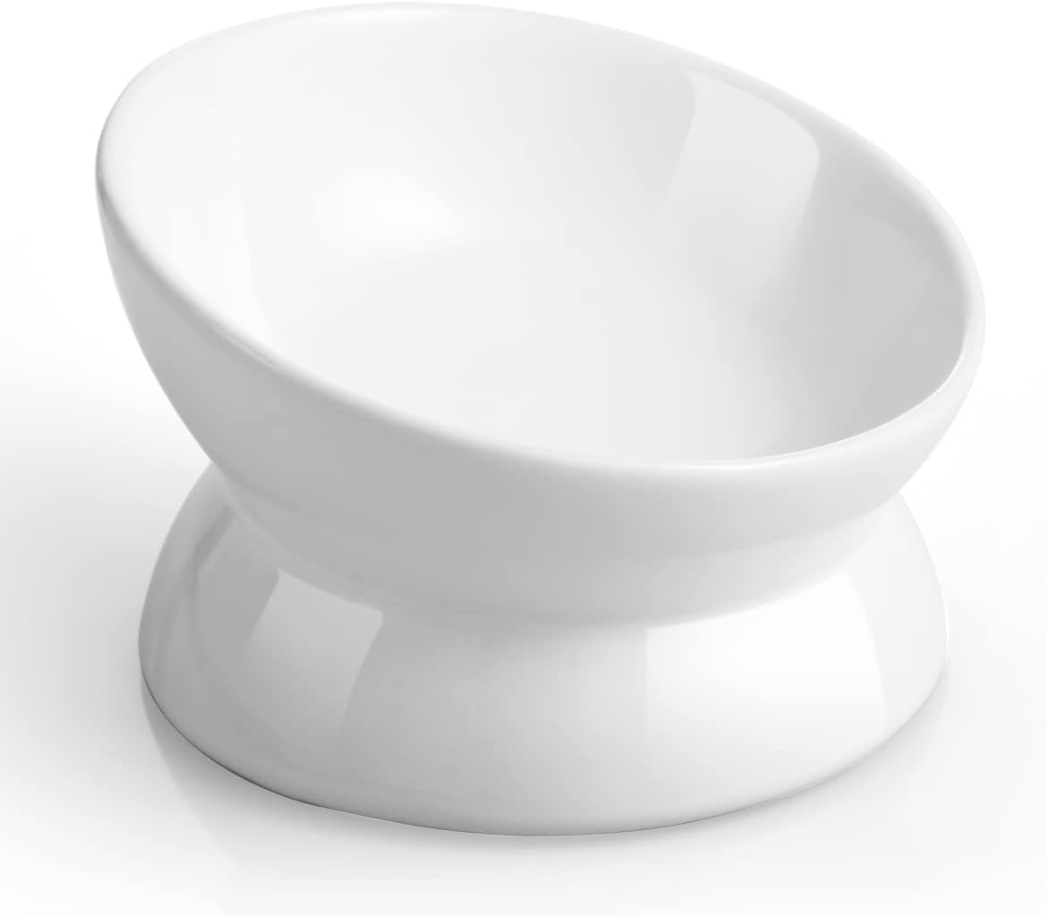 LoeJan Elevated Cat Food Bowl, 5 Oz Ceramic Raised and Tilted Water Bowl, Anti Vomiting and Protect Pets' Spines Dishes for Small Dog, Fat Faced Cat,
