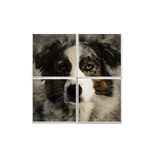Carreaux céramique Border Collie portrait de chien pour passionnés