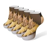 VstaDank Cozy Cat Ankle Socks 5 Pairs Fashion Invisible Low Cut Sock for Adult Casual Short Sock Soft Cozy No Show Socks