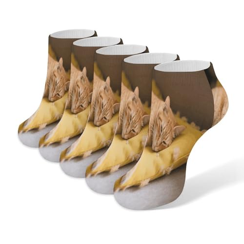 VstaDank Cozy Cat Ankle Socks 5 Pairs Fashion Invisible Low Cut Sock for Adult Casual Short Sock Soft Cozy No Show Socks