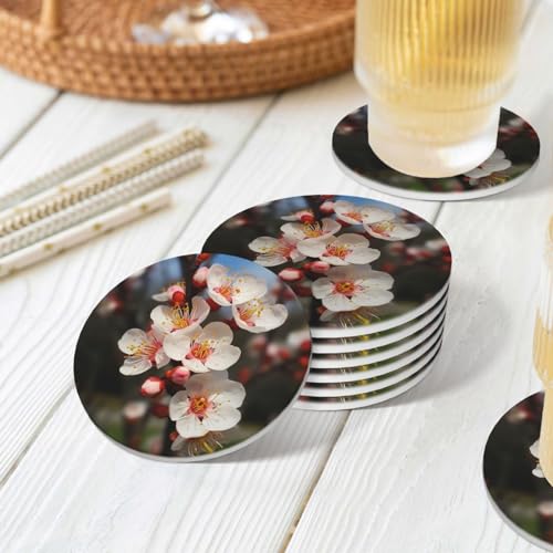 Dessous de verre en liège et céramique premium, protection de table durable
