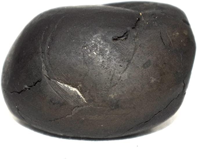 Miniatura 4 de Saligrama Laxmi Narayan Shaligrama Rudraksha Gurú Narsihma Shaligrama Kurma Shaligram
