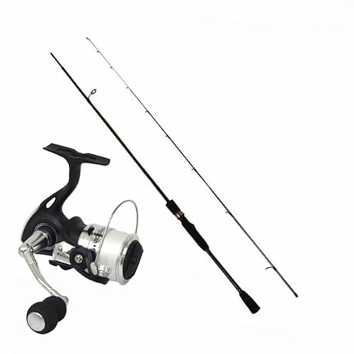 ދ C[h eBbv 6.9fML Bayspin ZX 2000S PE0.8100mt {[gGMOZbg(ori-funeset855)