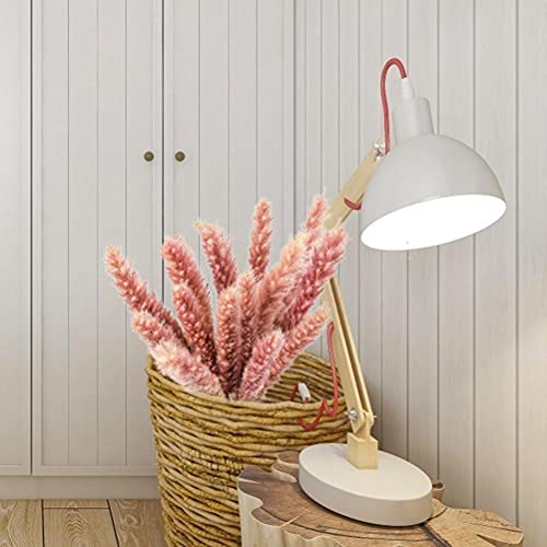 Natuurlijke gedroogde Pampas Gras Gedroogde Pampas Gras Pluizig in Vaas Kunstmatige Pampas Gras Plant Gedroogde Pampas… - Afbeelding 7