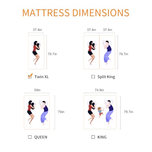 Image of ESHINE Twin XL Adjustable Bed Frame with 12 inch Mattress, Zero Gravity | Memory Foam Hybrid Mattress(Medium), Bluetooth APP Control, Wireless Remote, Head and Foot Incline, 2000 Series