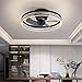 Ventilateur Silencieux Plafond avec Lumiere, Plafonnier de Chambre à Coucher 30W avec Télécommande, Vitesse de Vent Réglable, Intensité Variable avec Minuterie, pour Chambre Salon Restaurant