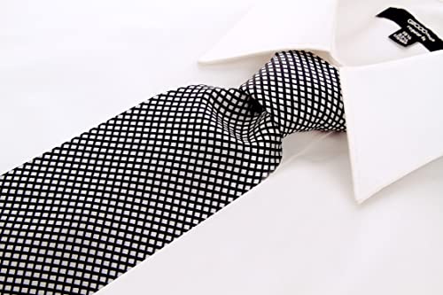 Scott Allan Collection Gingham Plaid Ties for Men - Woven Necktie