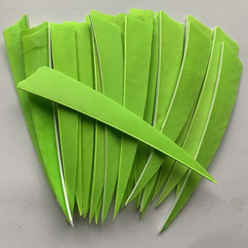 Ontfihs 100Pcs 5Inch Shield Archery Fletches Fletching Arrow Feathers Rw Lw Right Wing Left Wing (Right Wing, Fluorescent Green) #TOP12