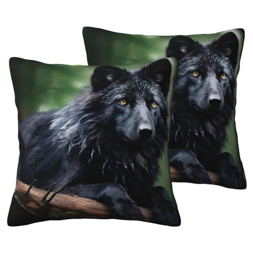 DUWAA Black Beaver Print Decorative Throw Pillow Covers Cushion Cases Set of 2, Standard Size, for Sofa Living Room Bed