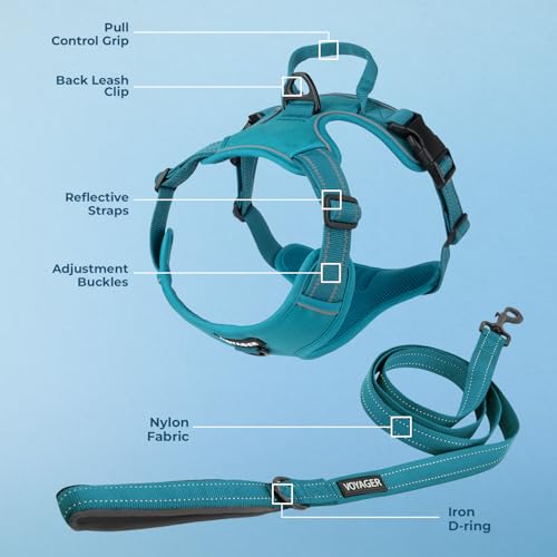Image of Voyager Dog Harness Dual Leash Attachment No-Pull Control Adjustable Soft but Strong Pet Harness for Medium and Large Dogs with 3M Reflective Technology, Leash Set Turquoise Nylon, M (Chest: 20-25 inch)