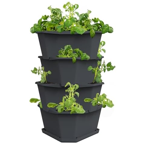 GUSTA GARDEN Paul Potato Tour de Pommes de Terre Cover