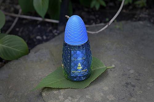 Pino Silvestre Italian Citrus Eau de Toilette 125ml