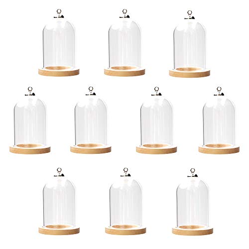 ZenRa 10-Piece Glass Dome Pendant Set with Wooden Base and Hollow Glass Cabochons (38x25mm Wood Color)