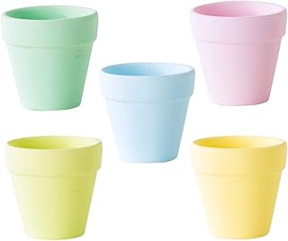 Hemoton Hoog kwaliteit 5 Pcs Macarons Cerâmica Vasos De Flores De Plantas Suculentas Potes Decorações (Cores Mistas)