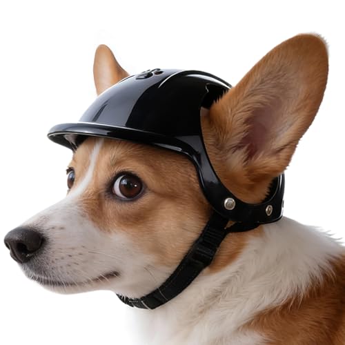 Casque pour chien | Élégant avec mentonnière réglable – Casque d'extérieur pour chaton chiot – Pour vélo, moto, activités de plein air, camping,...