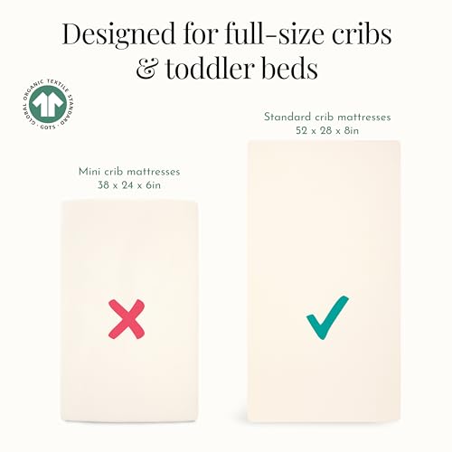 Image of Evolur Rain Boho 3 Piece Toddler Bedding Set, Super Soft and Breathable Toddler Bedding, Machine Washable, Includes Fitted Sheet, Comforter and Pillow Case