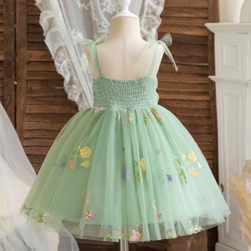 TTYAOVO Toddler Baby Dress Princess Party Tulle Dresses3