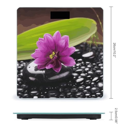 Báscula digital para baño con pantalla grande y alta precisión miniatura 2