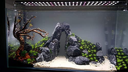 Image of Stygian Black Rock with Greyish White Lines for Aquarium Decoration, Reef Tank Setup, Terrarium, Hardscape Creation, etc (Colour: Obsidian Black, 1.8kg)