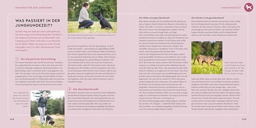 Welpen-Erziehung: Der 8-Wochen-Trainingsplan für Welpen. PLUS: Jung-Hund-Training vom 5. bis zum 12. Monat. Der Top-Seller - über 250.000 verkaufte Exemplare! (GU Welpen)
