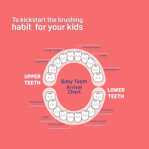 Image of Kids Toothbrush Red for 2-6 Years with FREE Toothpaste | Soft Bristles | Gentle Oral Care for Children | Easy Grip Handle | Daily Kids Hygiene Combo