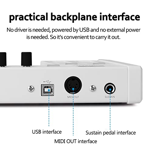 WJCCY 37 Touches Multi-funcations Midi Clavier Portable Electronic Piano numérique orchestrations Instrument de Musique… - Les Beatles, Paul McCartney, John Lennon, RIngo Starr, George Harrison WJCCY 37 Touches Multi-funcations Midi Clavier Portable Electronic Piano numérique orchestrations Instrument de Musique… – Image 4