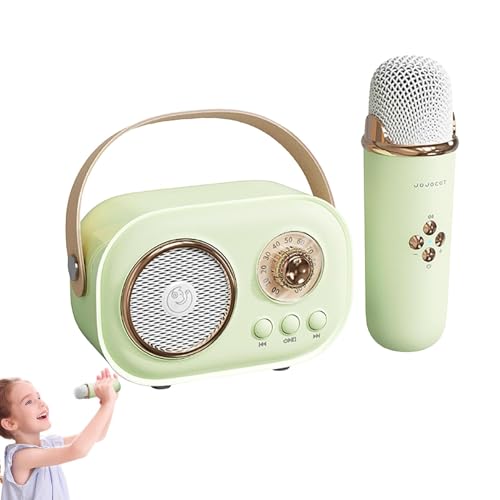 Haut-parleur de karaoké portable de salon avec système de divertissement vocal intégré