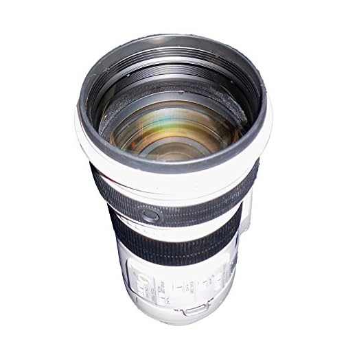 Canon EF 300mm f/2.8L Telephoto Lens