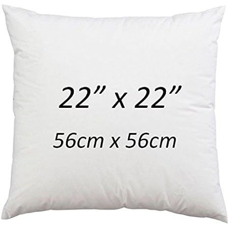 22 inch square pillow insert
