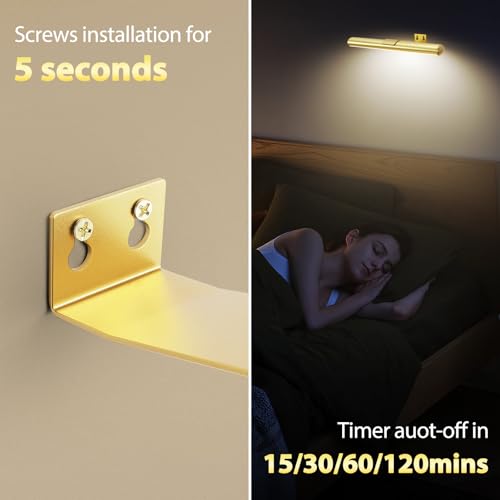 TINTINDOC 22'' Picture Light Gold for Painting with 3 Lighting,Rechargeable Wall Art Light for Painting Brightness Dimmable,Battery Display Accent Light for Picture Gallery Poster Frame Dartboard