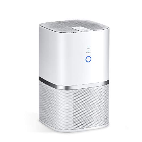 AwesomeWare Air Clea ner with Ionizer