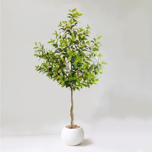 HWQFM ϗtA ^ CeA  傫 tFCNO[ k JXj Vzj zj  ͂Ȃ sv  傳  ʏ  gC   90cm L ItBXXy[X  a a_