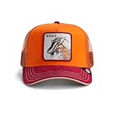 Goorin Greatest Grazer Trucker Hat for Men and Women, Orange, One Size, Unisex