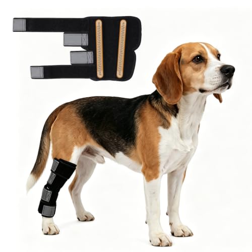 Image of Dog Leg Brace for Back Leg Support Adjustable Hock & Ankle Compression Wrap | with Metal Strips for Weak Rear Legs, Joint Stabilizer for Small to Medium Dogs with Arthritis or Injuries, Black, M