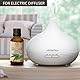 Eukalyptus Citriodora 50ml - Zitroneneukalyptus - Naturreines Zitronen-Eukalyptus Ätherisches Öl - für Entspannung - Beauty - Körperpflege - Yoga - SPA - Raumduft - Aroma Diffuser - Duftlampe