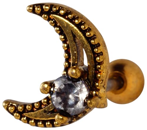 [From da Phactory] t _ t@Ng[ AeB[N [  WG Xg[go[x XeX sAX {fBsAX 1(16G S[h)