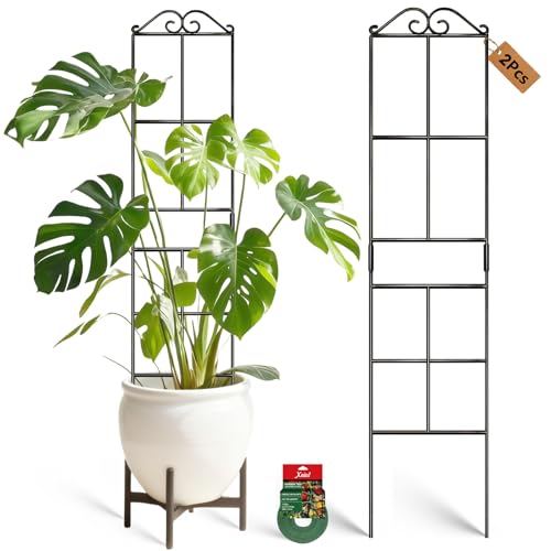 Image of 31.8'' Stackable Plant Trellis Indoor, Metal Trellis for Climbing Plants Indoor, House Plant Support with Soft Ties for Monstera Hoya Pothos, 2P