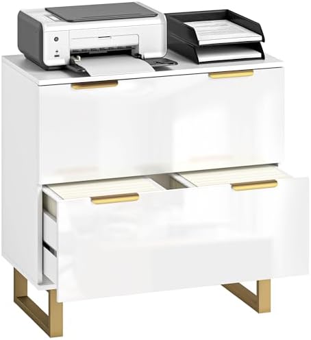 HOMCOM 2 Drawer File Cabinet, Lateral Filing Cabinet with Adjustable Rails for Letter/A4/Legal Size Files, Modern Printer Stand with Gold Handles and Legs, High Gloss White