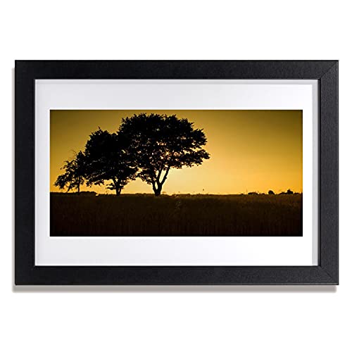 Affiche avec cadre salon cuisine déco murale arbre plante verte 30x20