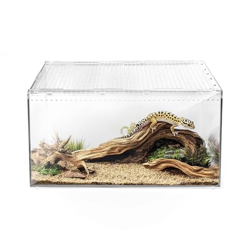 How long can a roach live underwater