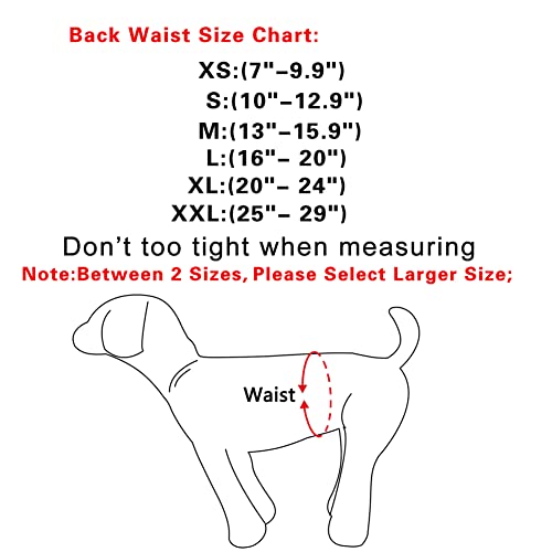 Joydaog Reusable Belly Bands For Dogs,5 Pack Premium Washable Dog Diapers Male Puppy Nappies Wrap,S #TOP5