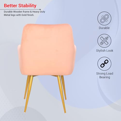 Image of Taboo Velvet Dining Chair Set of 2 | Upholstered Accent Arm Chairs | Soft Cushioned Seat with Backrest | Modern Velvet Fabric Chairs with Metal Legs | Living Room, Bedroom, Cafe & Restaurant | Peach