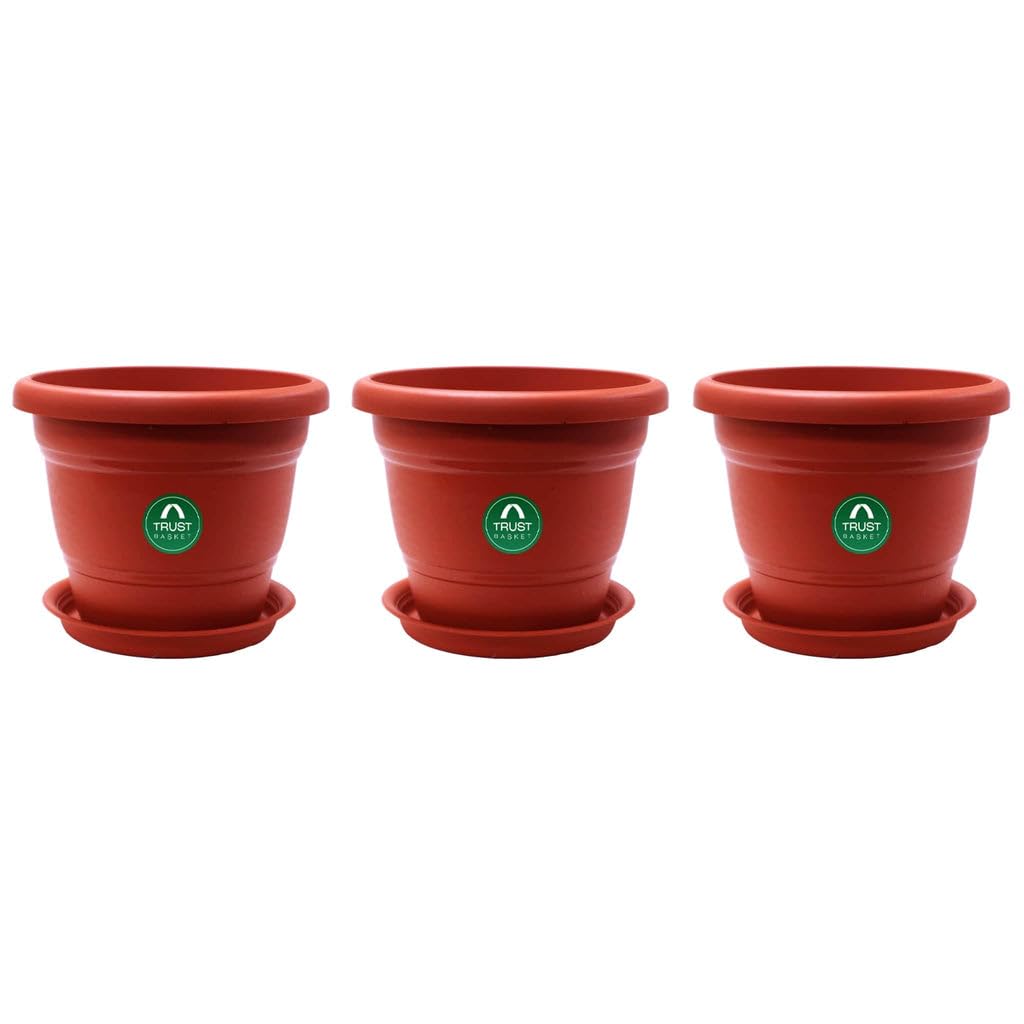 TrustBasket Terracotta pots with Bottom Plates - 3 Pcs (8 inch) | Gamla for Plants with Saucer | Pots and planters with Tray | Garden pots & Bottom Plates